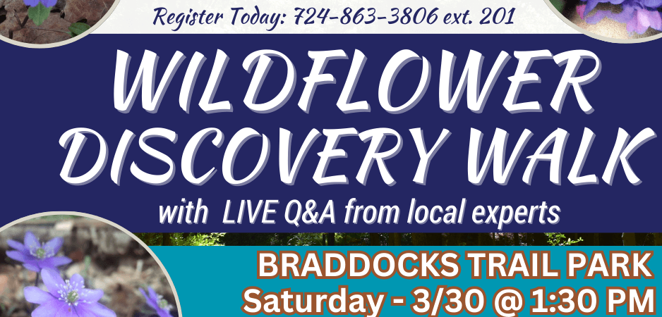 DISCOVER WALK FLYER with pictures of flowers of different colors, logo, and event information