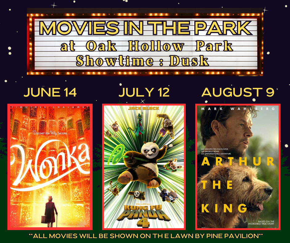 MOVIES IN THE PARK (1)