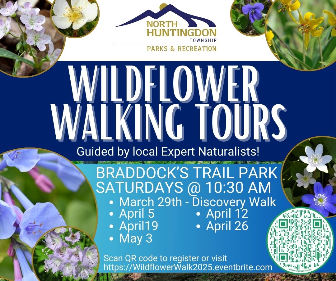 481250108_946298361008810_7666103627912481960_n