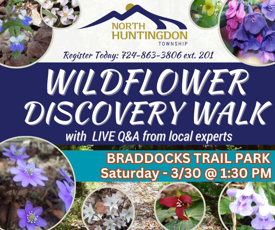 DISCOVER WALK FLYER with pictures of flowers of different colors, logo, and event information