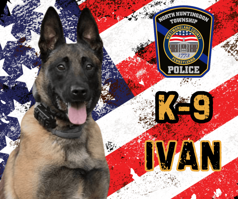 K-9 IVAN
