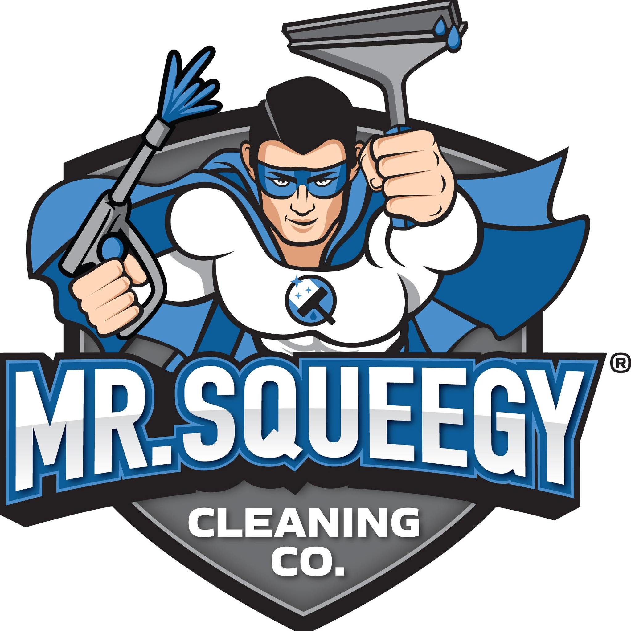 mr squeegy