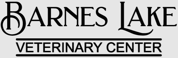 barnes lake vet center